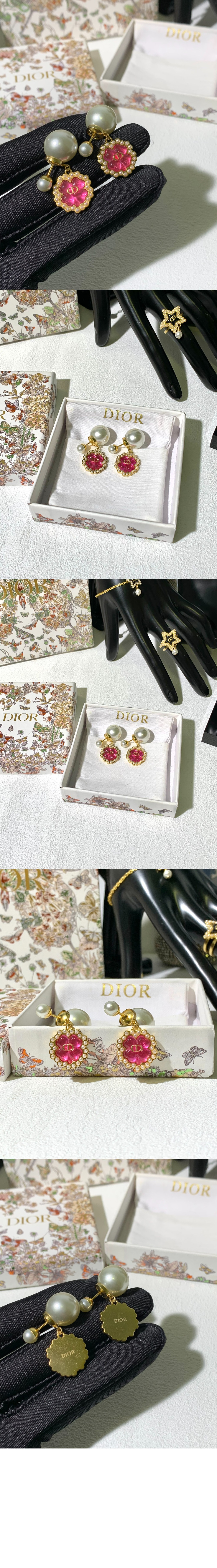 Dior Tribales 귀걸이 E3660