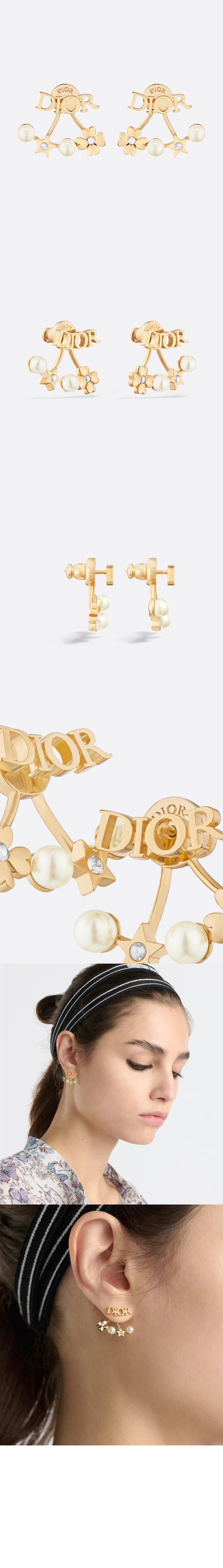 Dior evolution 귀걸이 E3916