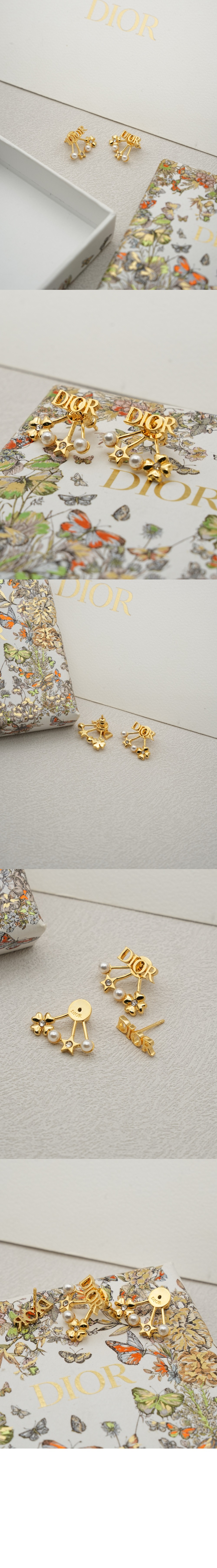 Dior evolution 귀걸이 E3916
