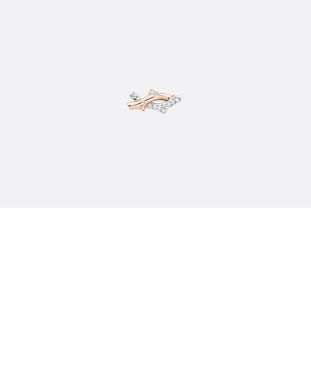 fdde4e9708bc4ffd4efae22e933ddfb5_1708578596_8322.jpg 미러급레플리카사이트 | 세계명품레플리카 전문 쇼핑몰 | 아르따 - Bois de Rose 귀걸이 JBDR9 > 디올