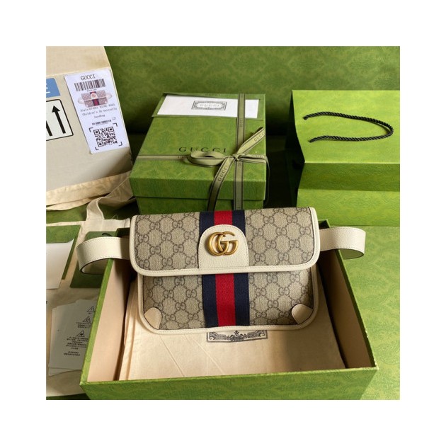 GUCCI 구찌 힙색 674081