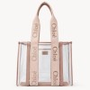 DIOR 디올 젤리 & 가죽 Woody 토트백 US383 2COLOR