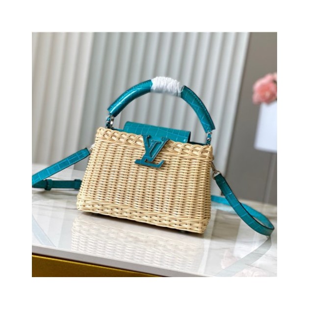 LOUIS VUITTON 루이비통 카푸신 미니 M48865  2SIZE