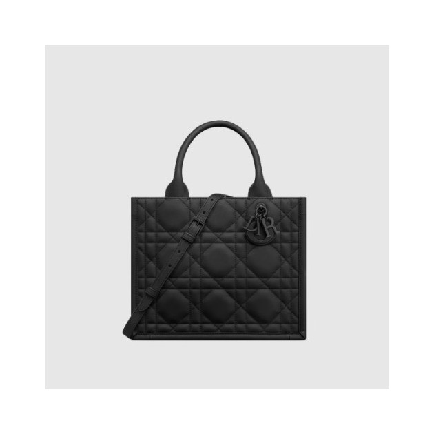 DIOR 디올  북 토트백 스몰 M1325