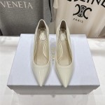 DIOR 디올 여성용 힐 (굽높이7CM) D84252 2COLOR