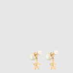 Lucky Dior 귀걸이 E3901