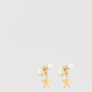 Lucky Dior 귀걸이 E3901