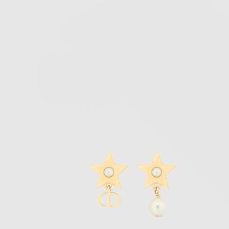 Lucky Dior 귀걸이 E3903