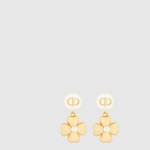 Lucky Dior 귀걸이 E3928